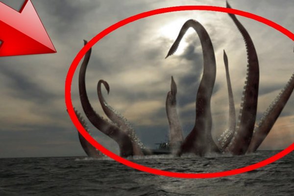 Kraken com зеркало