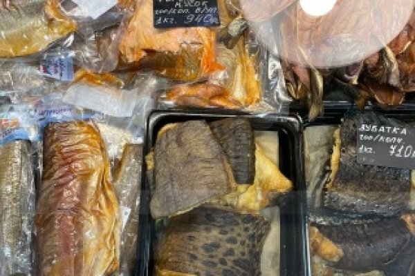 Через какой браузер можно зайти на кракен