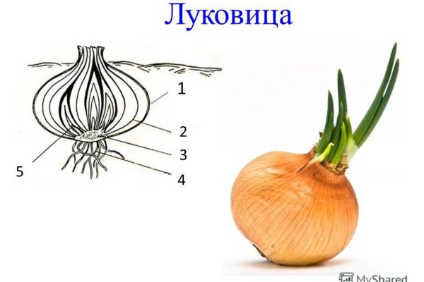 Кракен что можно купить