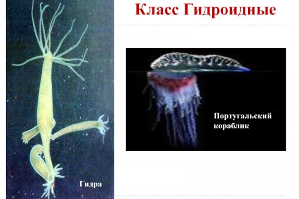 Kraken сайт kraken clear com