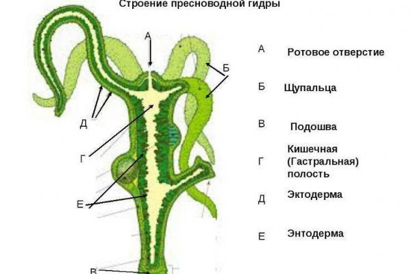 Где купить наркоты
