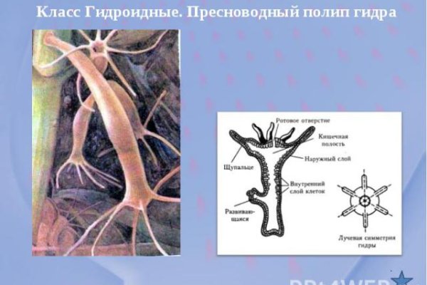 Kraken ссылка зеркало официальный