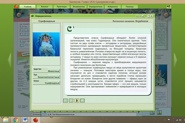 Кракен даркнет текст
