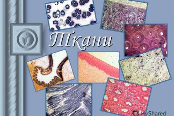 Кракен макет даркнет