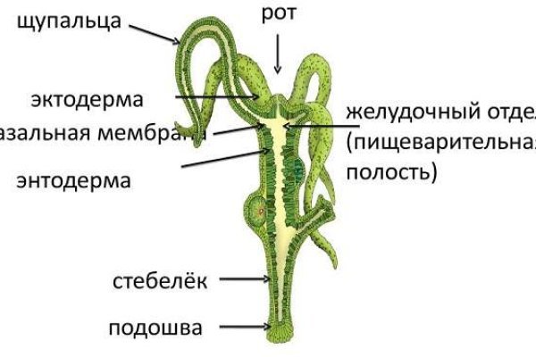 Кракен найдется все