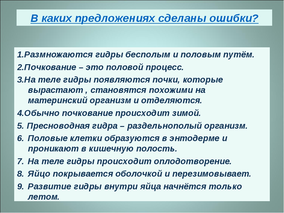 Кракен вход ссылка kraken torion net