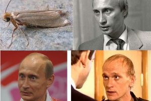 Кракен сайт официальный onion