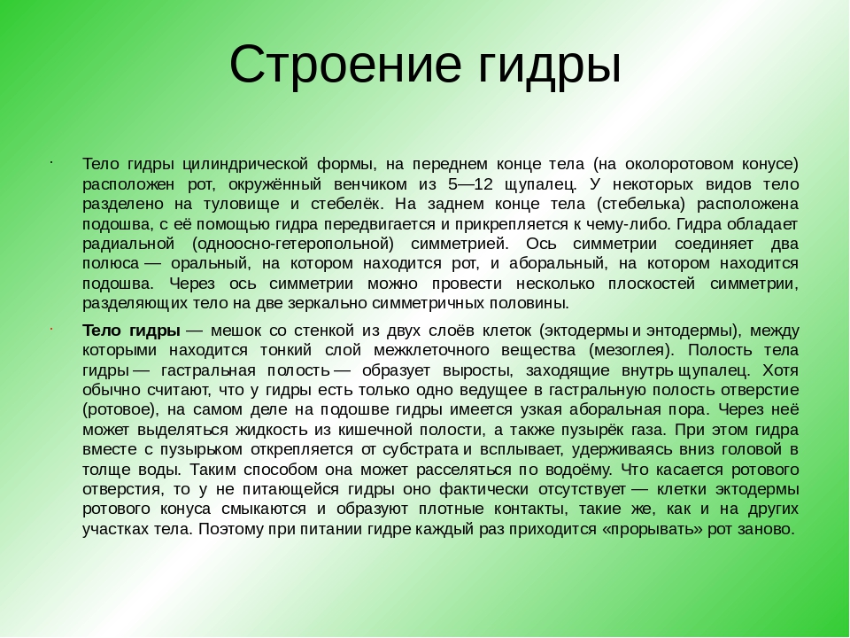 Кракен даркнет плейс